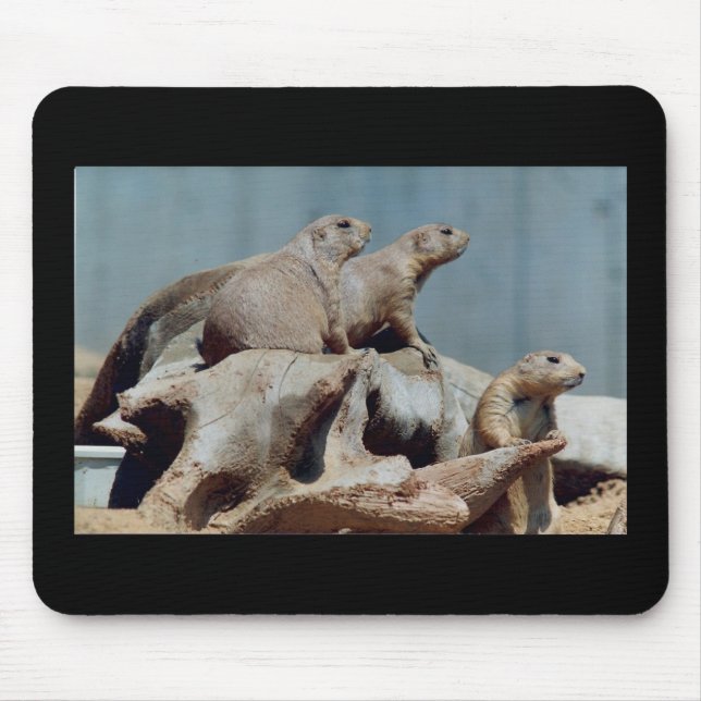 Prairie Dogs Mousepad (Front)