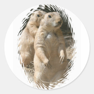 Prairie Dogs Sticker