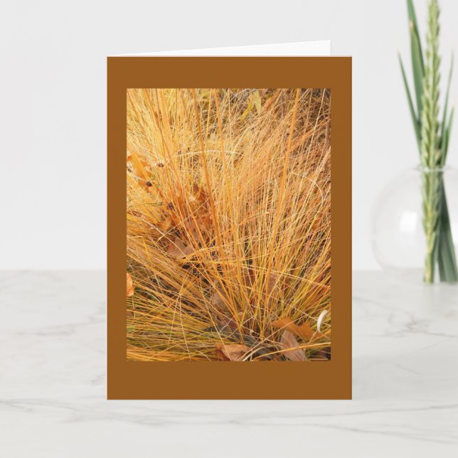 Prairie Dropseed in Fall Blank Note Card (Front)