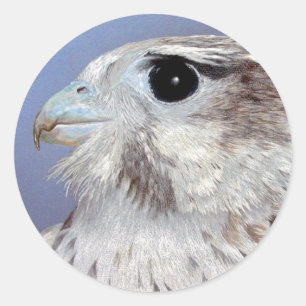 Prairie Falcon Classic Round Sticker