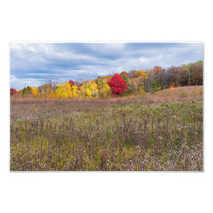 prairie landscape in autumn at afton state park  photo print