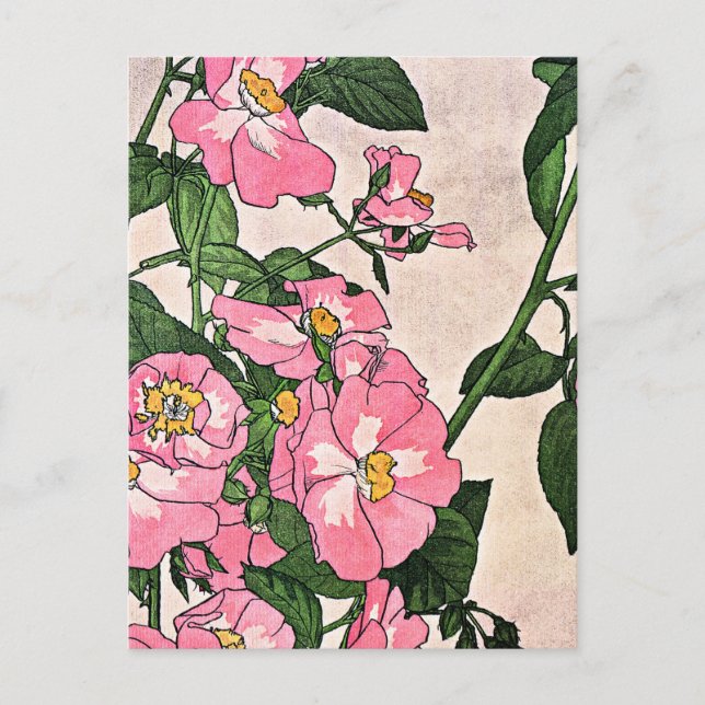 Prairie Rose, pretty floral illustration, Postcard (Front)