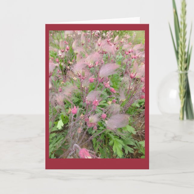 Prairie Smoke Blank Note Card (Front)