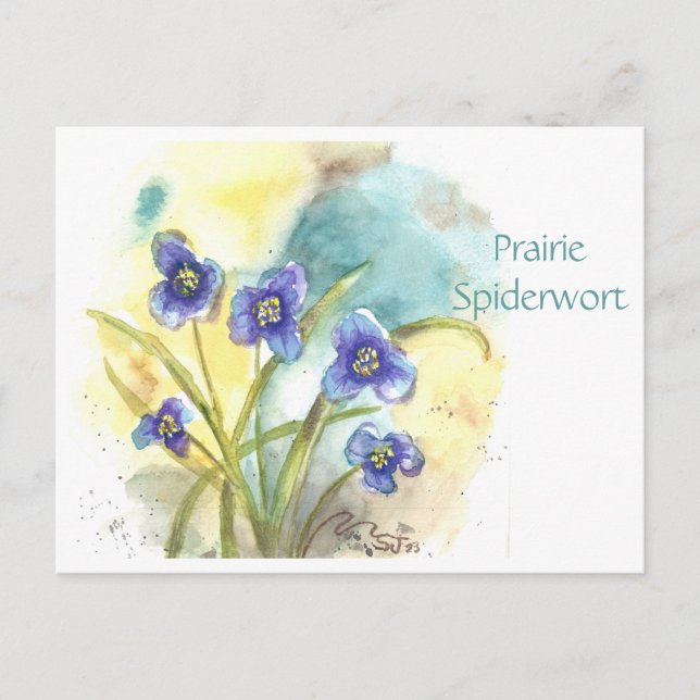 Prairie Spiderwort Post Card (Front)