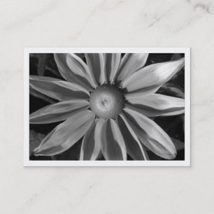 Prairie Sun Rudbekia, Mini Photo Business Card