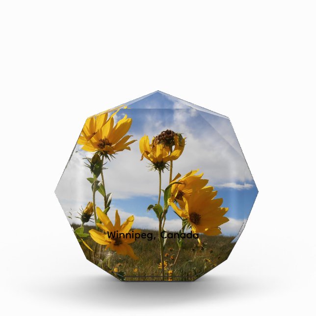 Prairie Sunset  Photo Block (Front)
