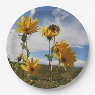 Prairie Sunset round paper plate