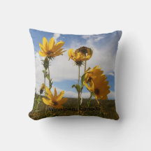 Prairie Sunset Throw Pillow