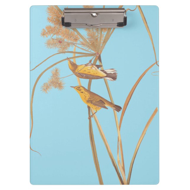 Prairie Warbler Audubon Yellow Bird Clipboard (Front)
