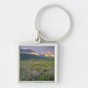 Prairie wildflowers along Lake Sherbourne in the Key Ring