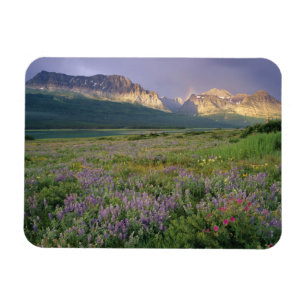 Prairie wildflowers along Lake Sherbourne in the Magnet