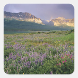 Prairie wildflowers along Lake Sherbourne in the Square Sticker