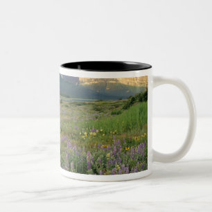 Prairie wildflowers along Lake Sherbourne in the Two-Tone Coffee Mug
