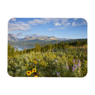 Prairie wildflowers and Lower Two Medicine Lake Magnet
