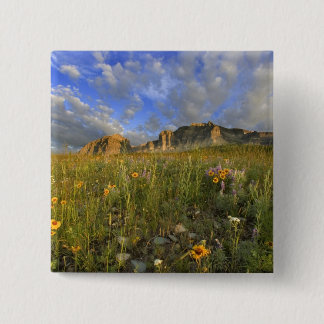 Prairie Wildflowers at Windy Creek in the Many 15 Cm Square Badge