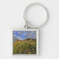 Prairie Wildflowers at Windy Creek in the Many