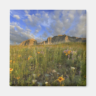 Prairie Wildflowers at Windy Creek in the Many Magnet