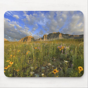 Prairie Wildflowers at Windy Creek in the Many Mouse Pad