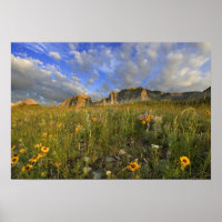 Prairie Wildflowers at Windy Creek in the Many