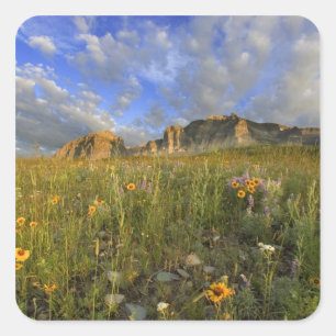 Prairie Wildflowers at Windy Creek in the Many Square Sticker