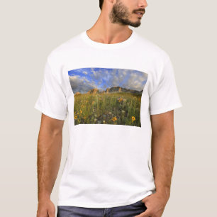 Prairie Wildflowers at Windy Creek in the Many T-Shirt