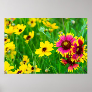 Prairie wildflowers in Hill Country Poster