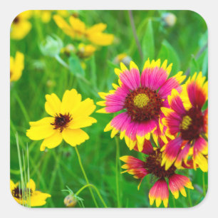 Prairie wildflowers in Hill Country Square Sticker