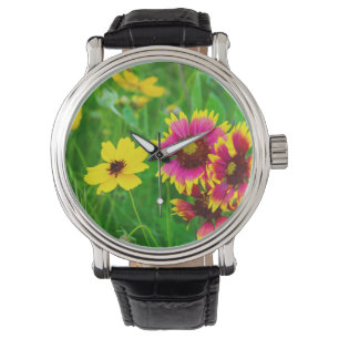 Prairie wildflowers in Hill Country Watch