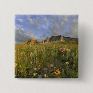 Prairie Wildflowers in Many Glacier Valley at 15 Cm Square Badge