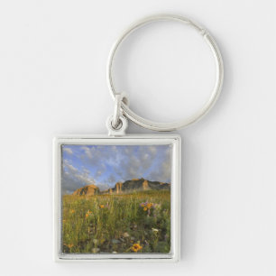 Prairie Wildflowers in Many Glacier Valley at Key Ring