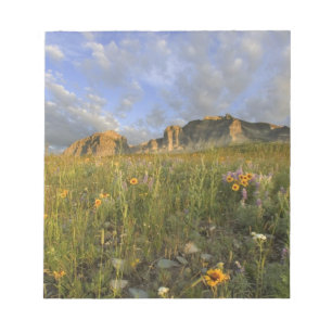 Prairie Wildflowers in Many Glacier Valley at Notepad