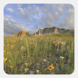 Prairie Wildflowers in Many Glacier Valley at Square Sticker