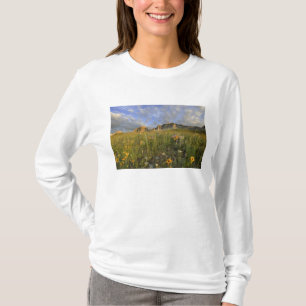 Prairie Wildflowers in Many Glacier Valley at T-Shirt