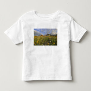 Prairie Wildflowers in Many Glacier Valley at Toddler T-Shirt