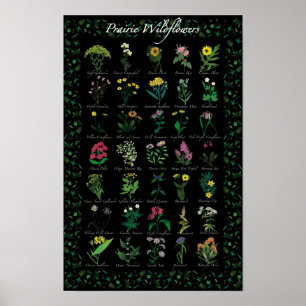 Prairie Wildflowers Poster