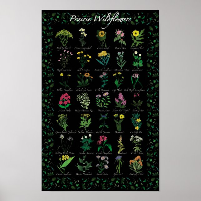 Prairie Wildflowers Poster (Front)