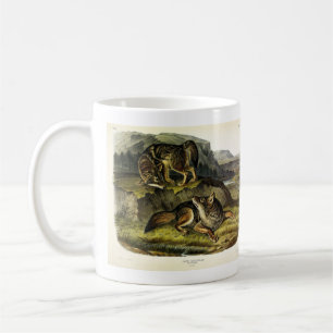 Prairie Wolf (Coyote) from Audubon's Quadrupeds Coffee Mug