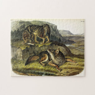 Prairie Wolf (Coyote) from Audubon's Quadrupeds Jigsaw Puzzle