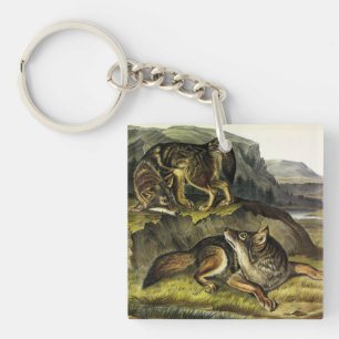 Prairie Wolf (Coyote) from Audubon's Quadrupeds Key Ring