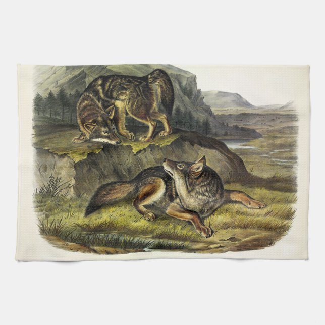 Prairie Wolf (Coyote) from Audubon's Quadrupeds Tea Towel (Horizontal)