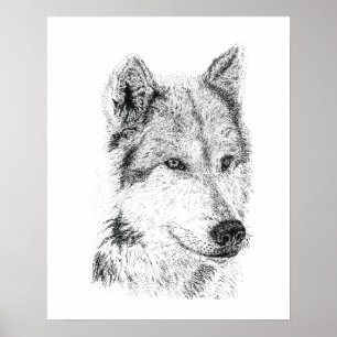 Prairie Wolf Hand Drawn Jackal Coyote Artwork Poster