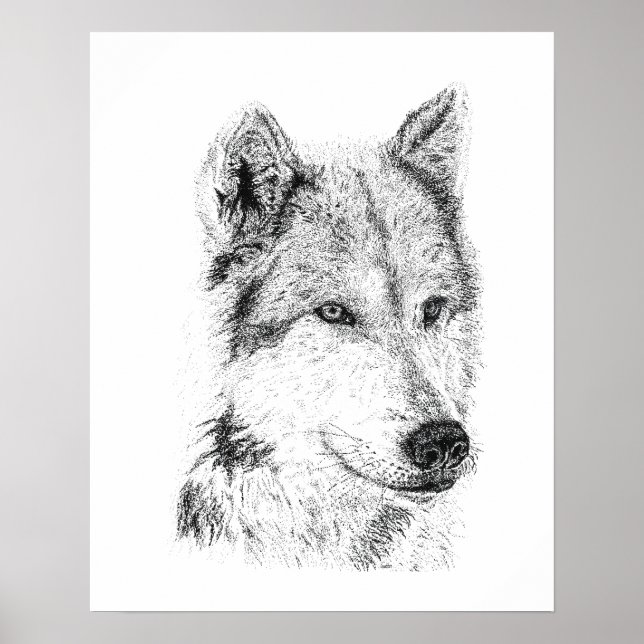 Prairie Wolf Hand Drawn Jackal Coyote Artwork Poster (Front)