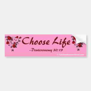 Praise Him N Pink Bible Quote Customise it Bumper Sticker