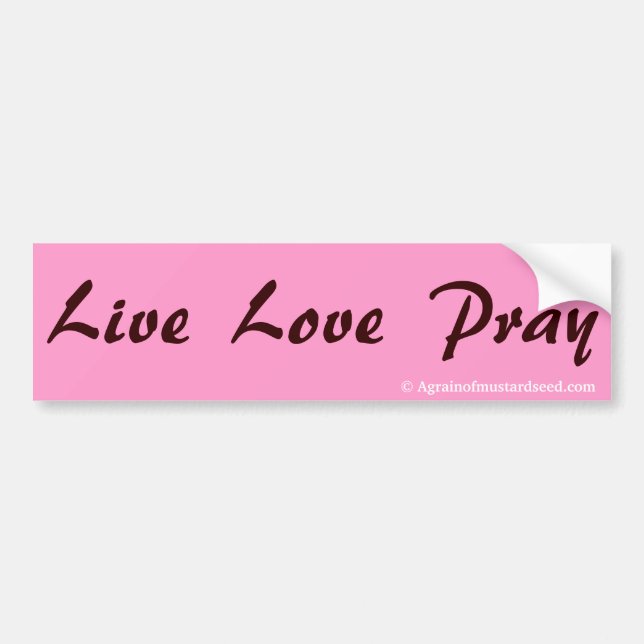 Praise Him N Pink Bible Quote Customise it Bumper Sticker (Front)