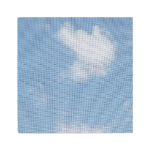 Praise the Lord Photo