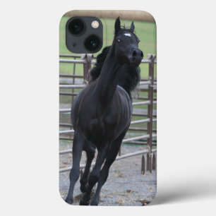 Prancing Black Arabian iPhone 13 Case
