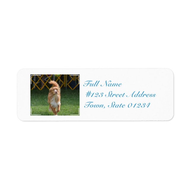 Prancing Nova Scotia Retriever Return Address Label (Front)