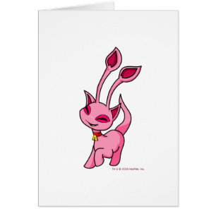 Prancing pink Aisha