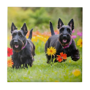 Prancing Scottish Terriers in grass and flowers Ceramic Tile