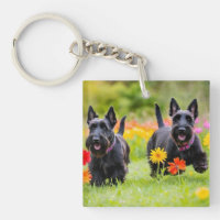 Prancing Scottish Terriers in grass and flowers